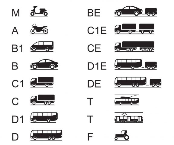 Catégories de permis